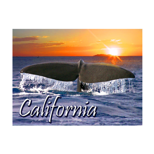 Bronze Baboon wholesale. We make custom magnets. "California Whale" 2.5” x 3.5” Magnet