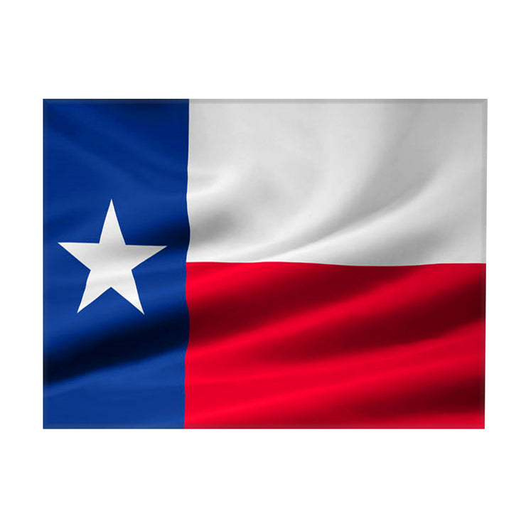 Bronze Baboon wholesale "Texas" Flag 2.5” x 3.5” Magnet